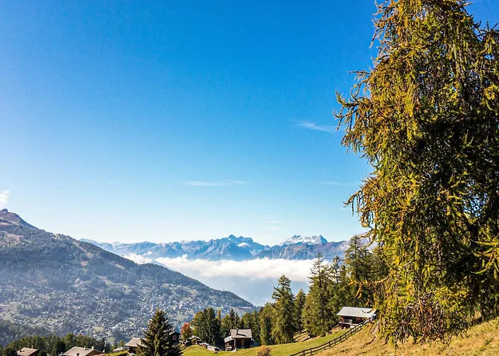 Pracondu 2 102 - Outdoor & Fun Charming Nendaz